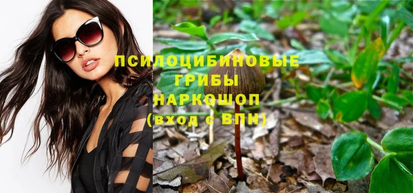 дурь Волоколамск
